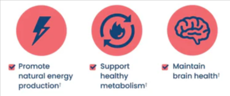 NativePath-Vitamin-B-Complex-Benefits