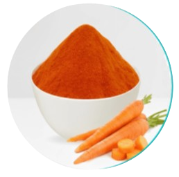 Carrot Powder