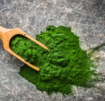 Chlorella