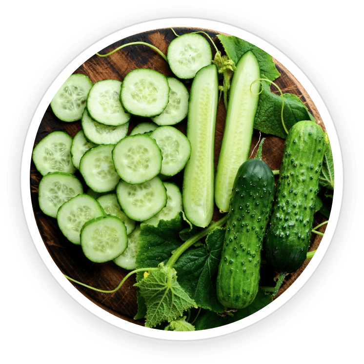 Cucumber Extract