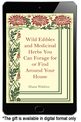 Medicinal Garden Kit bonus Wild Edible and Medicinal Herbs Guide