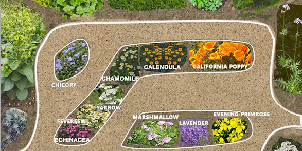Medicinal Garden Kit view