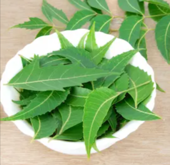 Neem