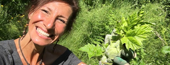 Medicinal Garden Kit authorNicole Apelian